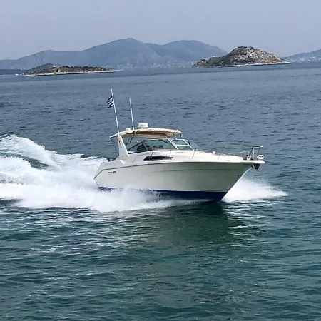 Yacht Sea Ray Sundancer 370 Botel